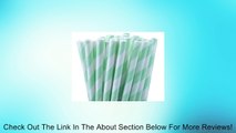 25 Paper Drinking Straws Mint Green Stripes 7.75