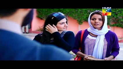 Aik Pal Episode 3 , 8th December 2014 on Hum Tv  - DramasOnline