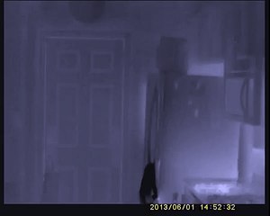 UMTI Outdoor Handheld Thermal Imaging Camera Night Vision Video 1