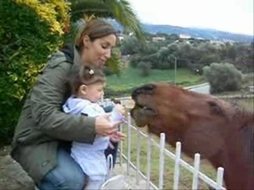 Lo et son cheval