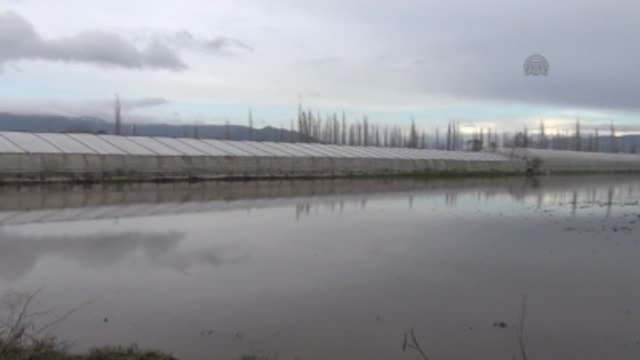 Tarım Arazileri ve Narenciye Bahçelerini Su Bastı