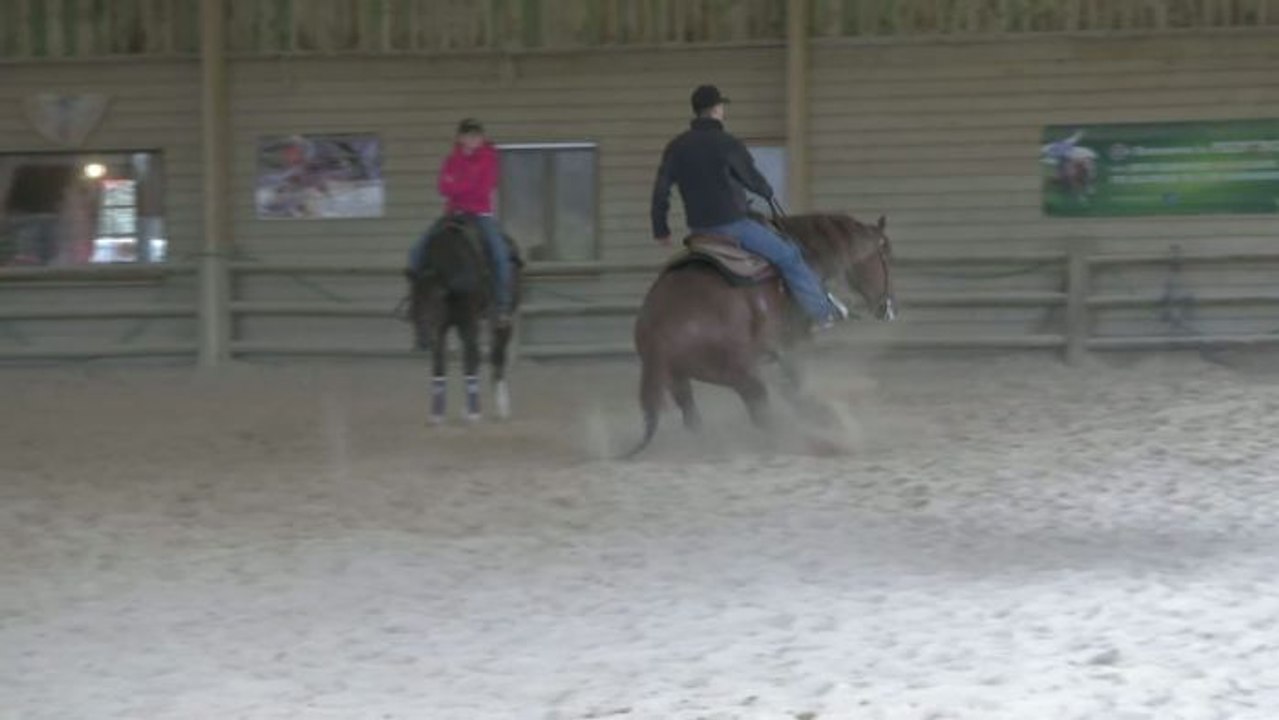 ÉQUITATION : Le reining, une discipline aux acc...