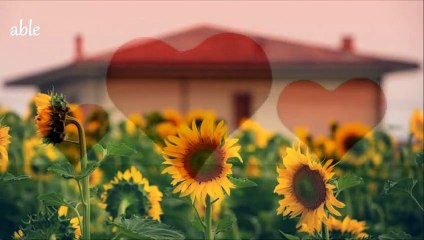 Όταν είμαι μόνος -- Κώστας Χατζής