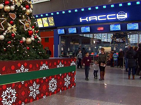 Кино на кроватях предлагают смотреть в Подмосковье