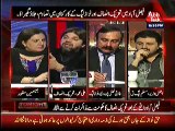 Ali Muhammad Khan Blasted on Rana Sanaullah in a Live Show