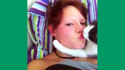Best Cat Vines - The Best Cat Vine Compilation (25 MINUTES)