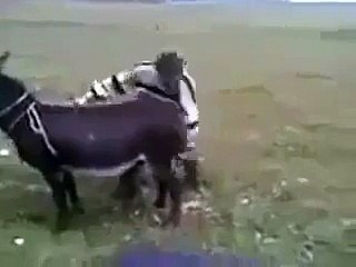 learn how to start a donkey v funny....