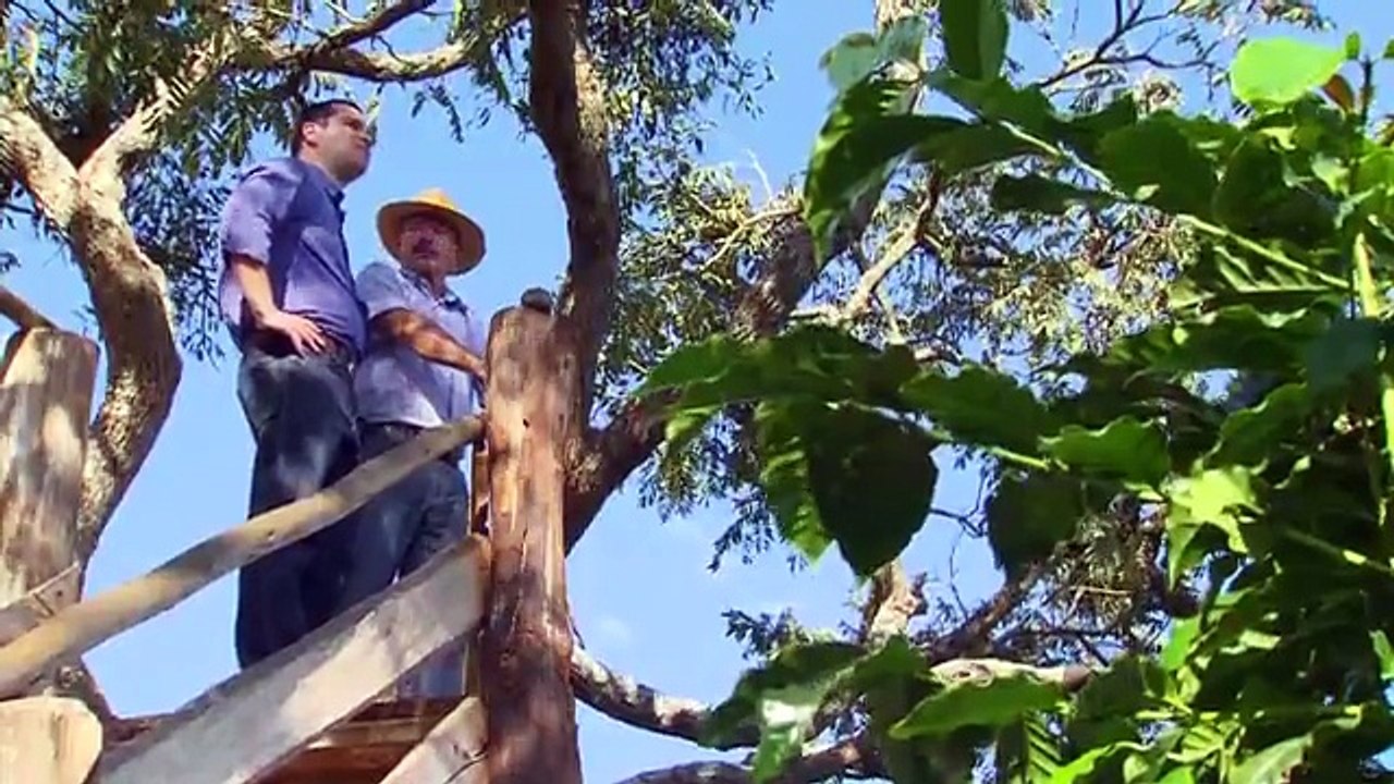 Café é tema da série especial de 35 anos da EPTV