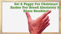 Get A Puppy For Christmas! Hasbro Toy Breed! Absolutely No House Breaking!