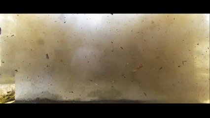 U2 - Films Of Innocence