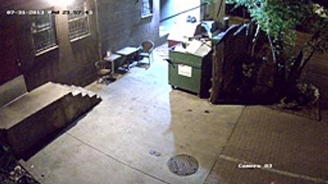 Ours voleur a regarder jusqu au bout