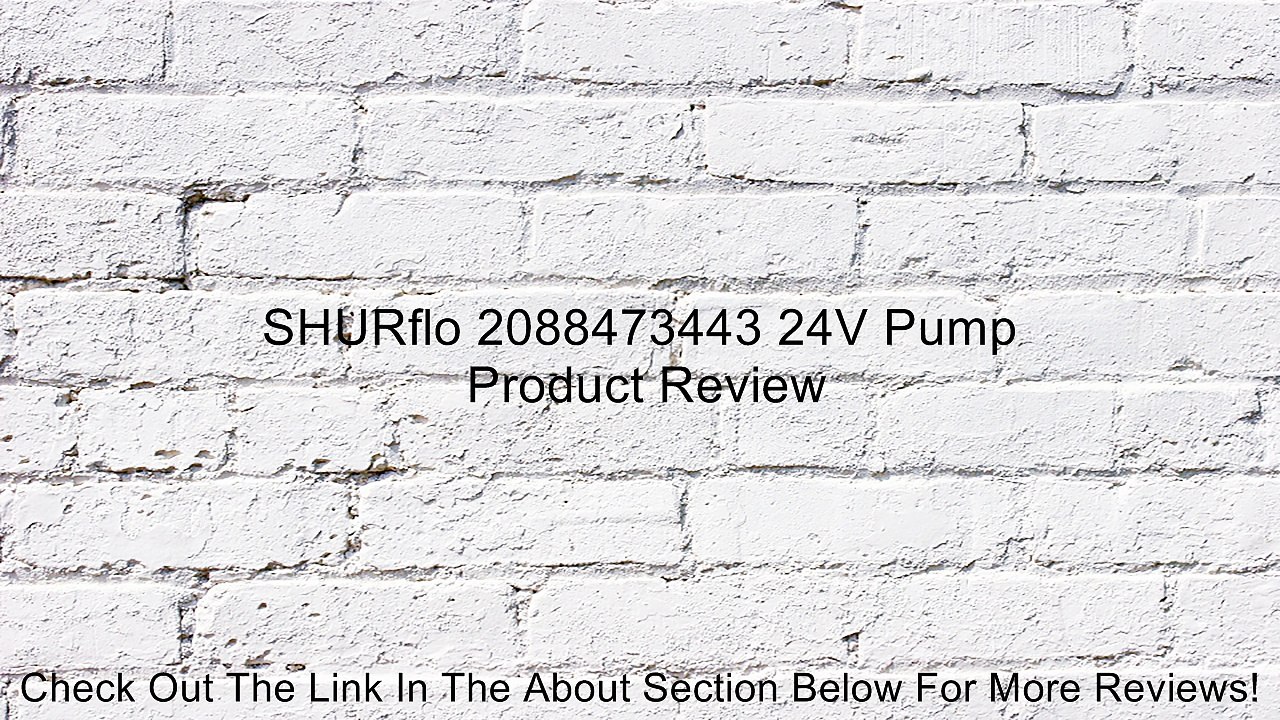 SHURflo 2088473443 24V Pump Review