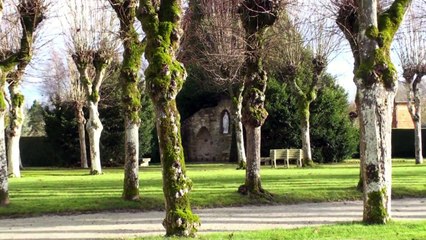 Laics en mission ecclésiale