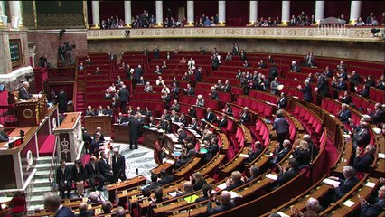 Les députés applaudissent la libération de Serge Lazarevic