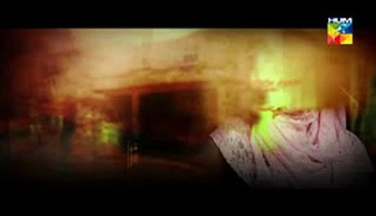 Shanakht Drama Episode 17 Part 1 HUM TV Drama 9 December, 2014