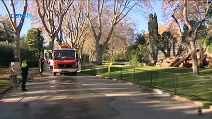 El hombre herido en el Zoo de Barcelona sigue en estado crítico en la UCI