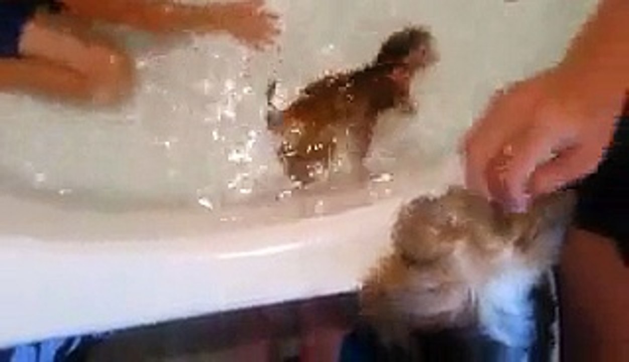 A boy takes a bath with a baby monkey
