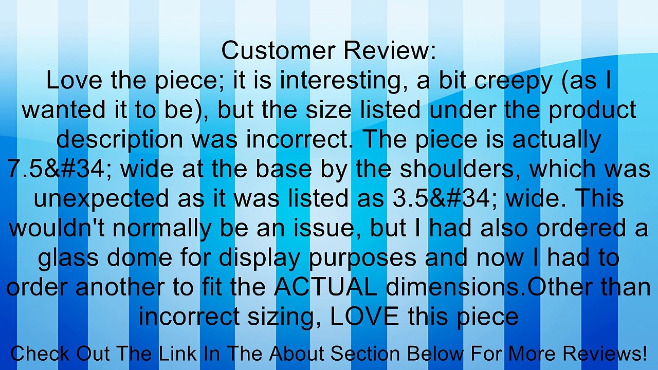 Creepy Cast Resin Phrenology Head Victorian Steampunk Review