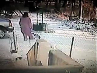 (93) Don't kick snow into a cat's face