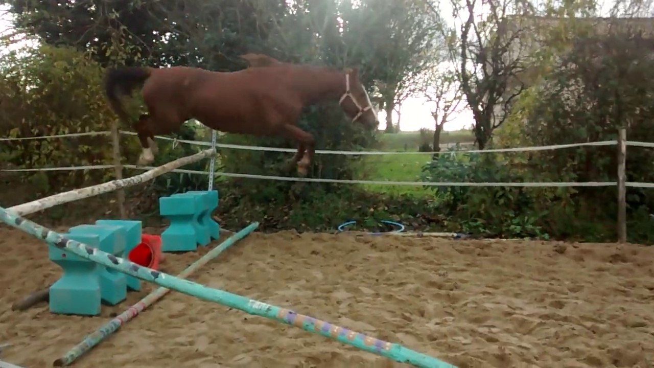 VID_20141209_152638711[1]