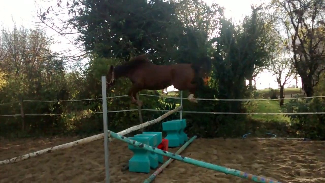 VID_20141209_152504098[1]
