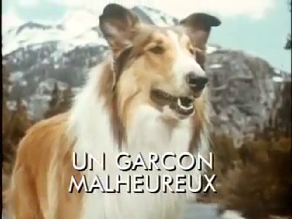 Lassie Un garçon malheureux  / 4