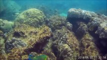 2014-04-30 - Sortie snorkeling à Koh Sing et Koh Sang - Thailande