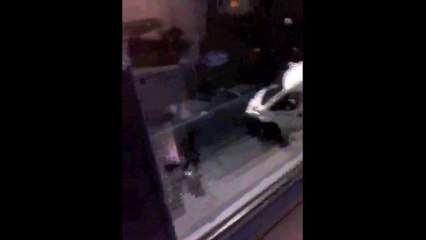 Incidents apès le choc  Charleroi-Standard (07/12/14)