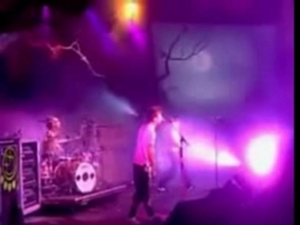Blink 182 - A Letter To Elise Live Cover