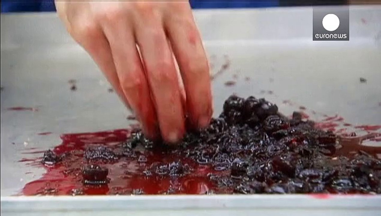 Knast-Kuchen: Panettone aus Padua