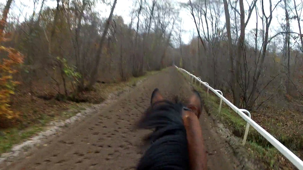 14-11-22 - Tranquille, l'américaine, pour commencer :)