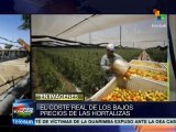 México: explotación laboral detrás de bajos precios de hortalizas