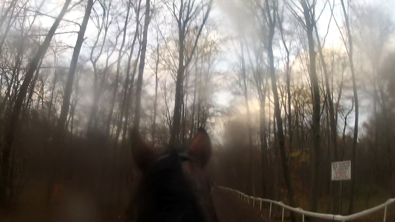 14-11-22 - L'américaine, 2ème ! Pleine balle :)