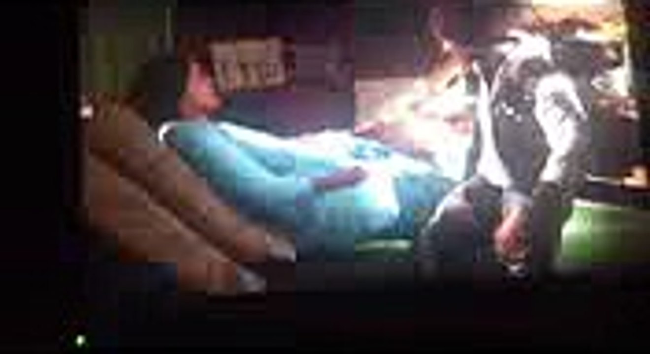 Download crime cities demo v.Not available crack updated