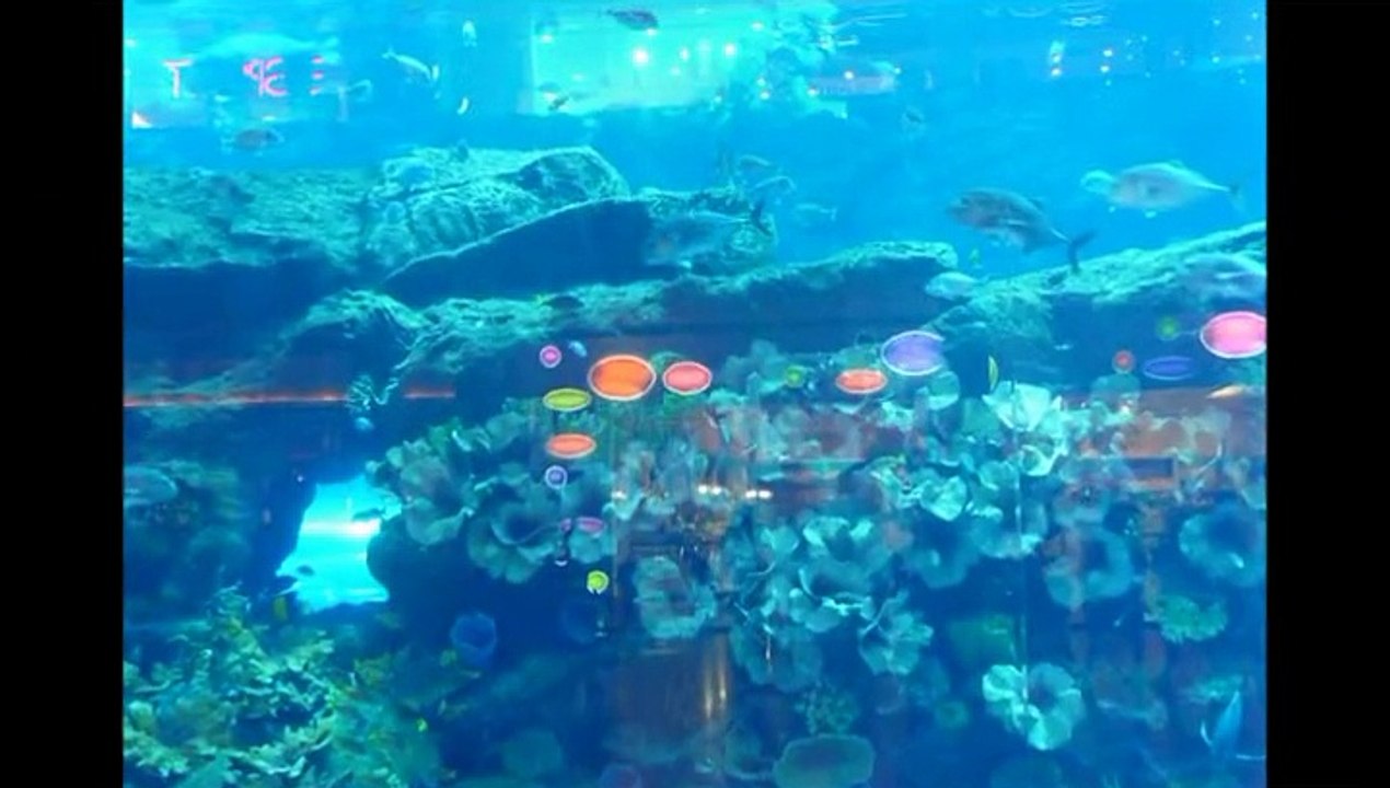 SAMEEL DUBAI TRIP._xvid