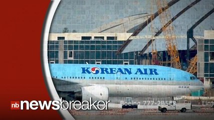 Korean Airlines Executive Resigns After Forcing a Plane Back to the Gate Over Macadamia Nuts