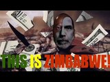 Peter Schiff Predicts Current US Dollar Collapse (Recorded 2008)
