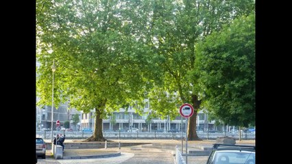 VERONIQUE (Laurent), NABIL (Khazzaka) : "Samen" (L'An Vert, Liège, 2012)