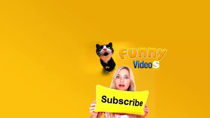 Cute And Funny Hedgehog Videos Compilation - HD - 2014 - 720p