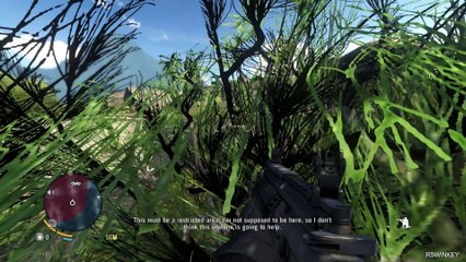 RSWINKEY Farcry 3 HD walkthrough Gameplay Part 35 Paint It Black 1080P 60FPS