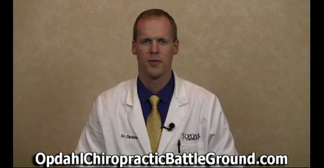 American Family Insurance Chiropractor Battle Ground Washington