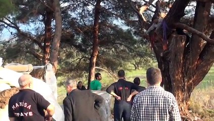 Ağaç Keserken Hayatından oluyordu