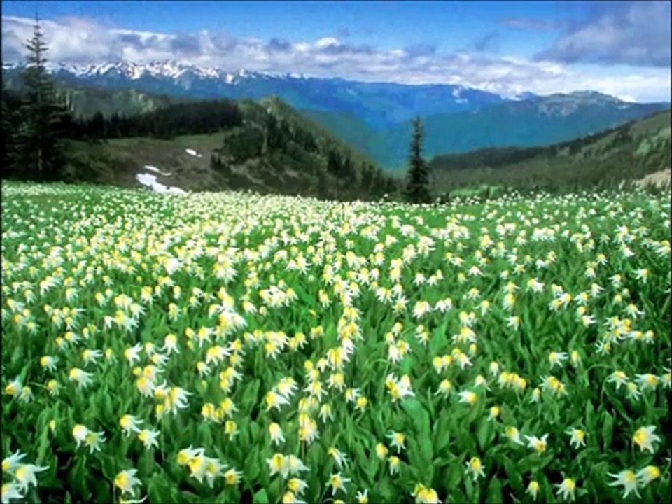 Samanyolu Şarkısı okuyan Musa Has