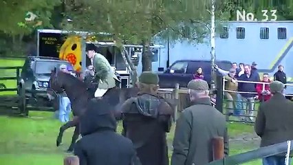 TIHA Hunter Show and Go - 33