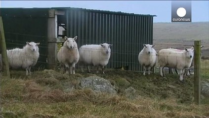 Непогода в Британии: без электричества остались тысячи домов