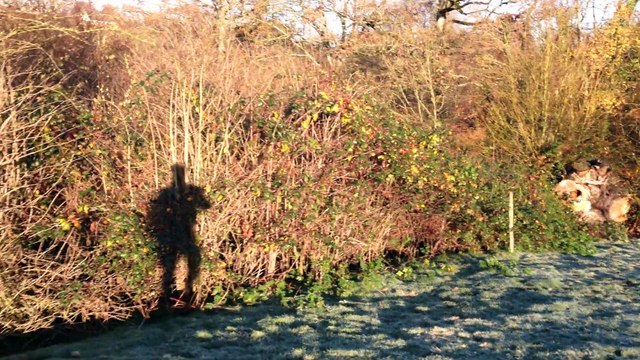 Chasse Rallye des falaises du 06/12/2014