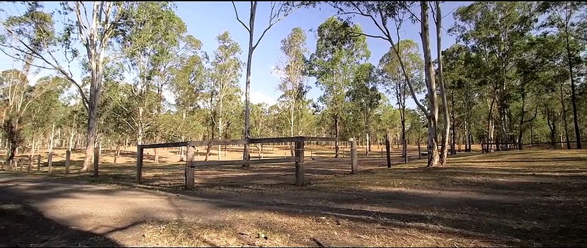 504 Waterford Tamborine Road - Buccan (4207) Queensland