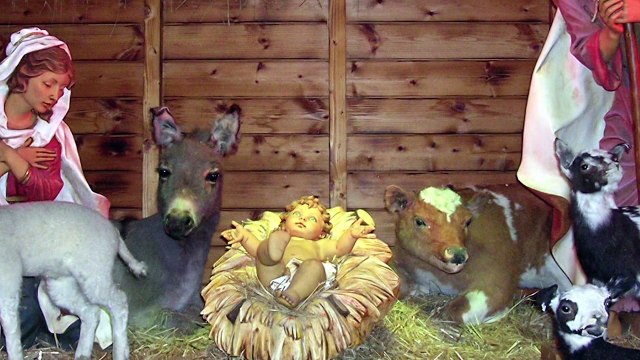 Gdy śliczna Panna - Polskie Kolędy