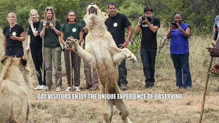 Ukutula Lodge - Day Visitor Packages