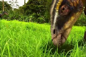 Roraima Mundo Perdido (parte 3 de 3)